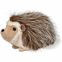 BRISTLE HEDGEHOG
