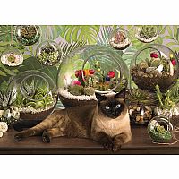 TERRARIUM CAT 1000PC PZ