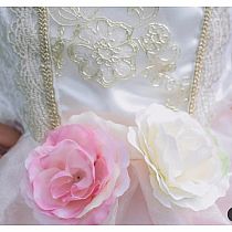 GOLDEN ROSE PRINCESS DRESS 3/4