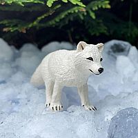 SAFARI ARCTIC FOX