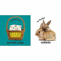 BABY TOUCH FEEL CUDDLY ANIMALS