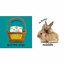 BABY TOUCH FEEL CUDDLY ANIMALS