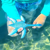 SCHLEICH PLEISIOSAURUS