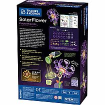 SOLARFLOWER PURPLE MAJESTIC