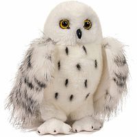 Wizard Snowy Owl