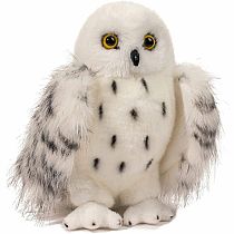 Wizard Snowy Owl