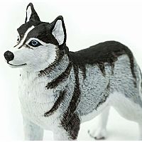 SAFARI SIBERIAN HUSKY