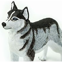SAFARI SIBERIAN HUSKY