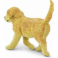 SAFARI GOLDEN RETRIVIER PUPPY