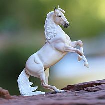 BREYER CLOUD 30TH ANNIVERSARY