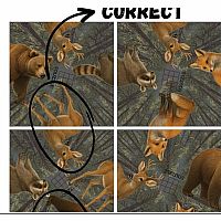 SQUZZLE PUZZLE WILDLIFE