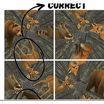 SQUZZLE PUZZLE WILDLIFE