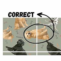 SQUZZLE PUZZLE DOGS