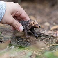 SAFARI GRIZZLY BEAR CUB