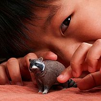 SCHLEICH RACCOON