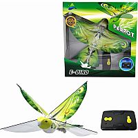 EBIRD GREEN PARROT