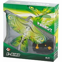 EBIRD GREEN PARROT