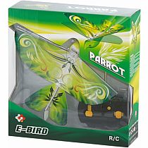 EBIRD GREEN PARROT