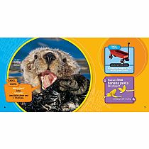 NGK NATIOANL GEOGRAPHIC KIDS  JUST JOKING--National Geographic Kids