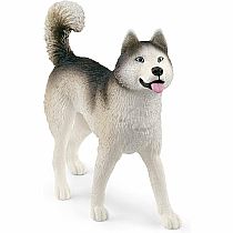 SCHLEICH ANTARCTIC EXPEDITION