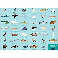 Arctic Life Search & Find Puzzle