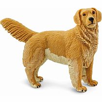 SAFARI GOLDEN RETRIEVER