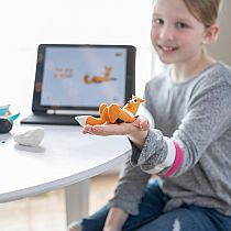 HEY CLAY FOREST ANIMALS