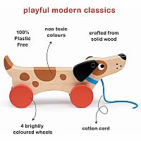 PUPPY ON WHEELS