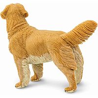 SAFARI GOLDEN RETRIEVER