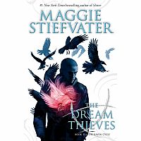 ****SALE PRICE--REG $18.99****Raven CYCLE 2 DREAM THIEVES---MAGGIE STIEFVATER