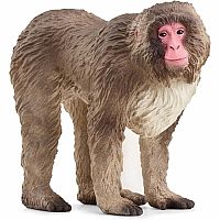 SCHLEICH JAPANESE MACAQUE