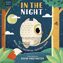 MAGIC WINDOW IN THE NIGHT --Harriet Stone David Partington