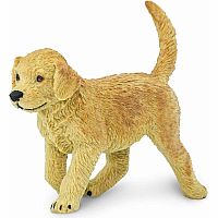 SAFARI GOLDEN RETRIVIER PUPPY