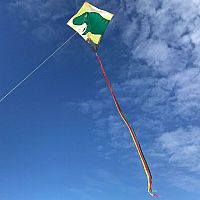 DINOSAUR 30" DIAMOND KITE
