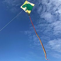 DINOSAUR 30" DIAMOND KITE