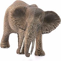African Elephant, Female