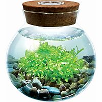 WATERPLANTS