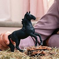 SCHLEICH LUSITAN STALLION