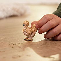 SCHLEI SILKIE CHICKEN