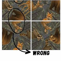 SQUZZLE PUZZLE WILDLIFE