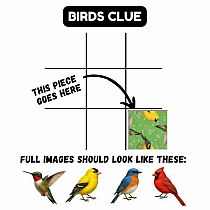 SQUZZLE PUZZLE BIRDS