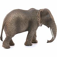 African Elephant, Female