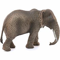 African Elephant, Female