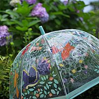 Umbrellas Flowers and Birds