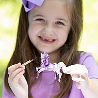 SUNCATCHER HORSES PAINT & PLAY
