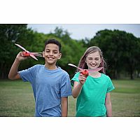 DRAGONHAWK FLYING BIRD