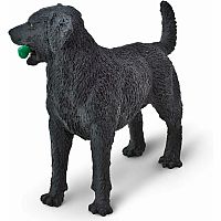 SAFARI BLACK LAB