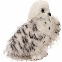 Wizard Snowy Owl