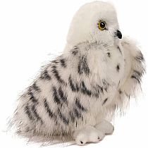 Wizard Snowy Owl
