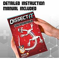 DISSECT-IT SALAMANDER LAB